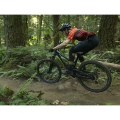 Shimano AM903 MTB Shoes